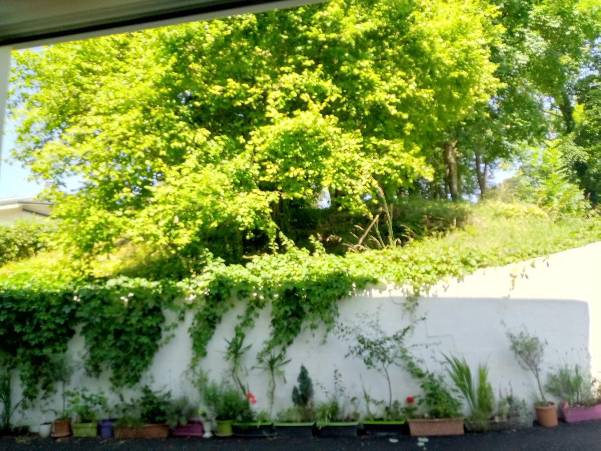 Villa Arc En Ciel Et Cle Des Champs Contrexéville Buitenkant foto
